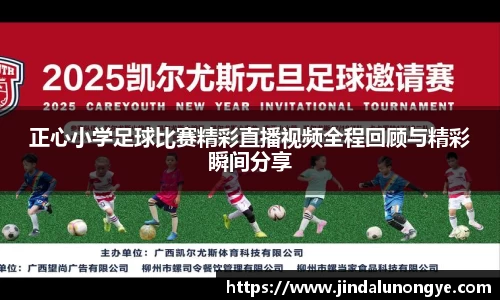 风云足球